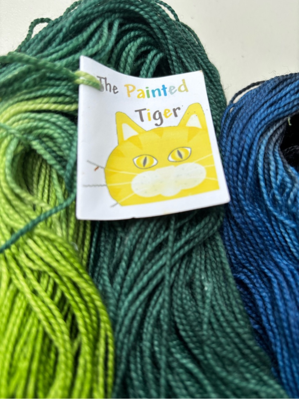 The Painted Tiger Hand Dyed Yarn & Fiber Northern Lights Tiger Club Nov.2013